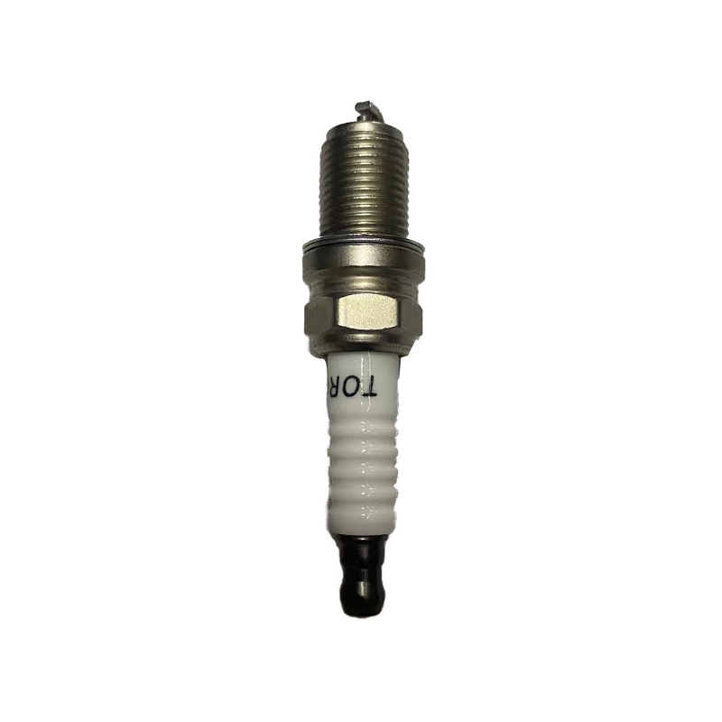 Spark Plug 10099079 RW 350 360 mg3
